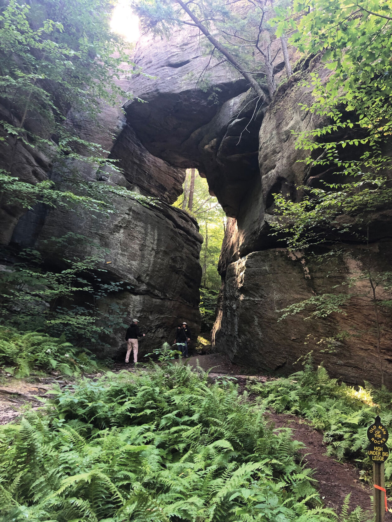 Olean’s Rock City Park on a late summer day